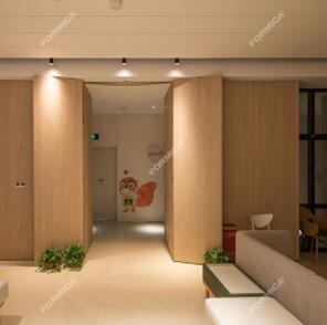 防火板環(huán)保衣柜獨領(lǐng)風騷